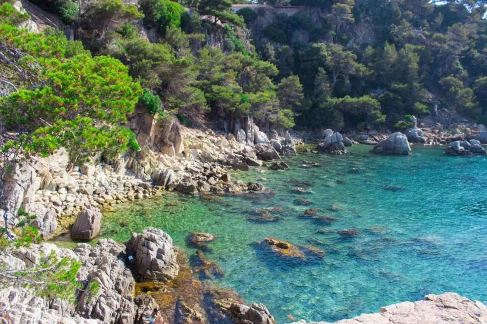 Cora-Gebieden zomer 5km