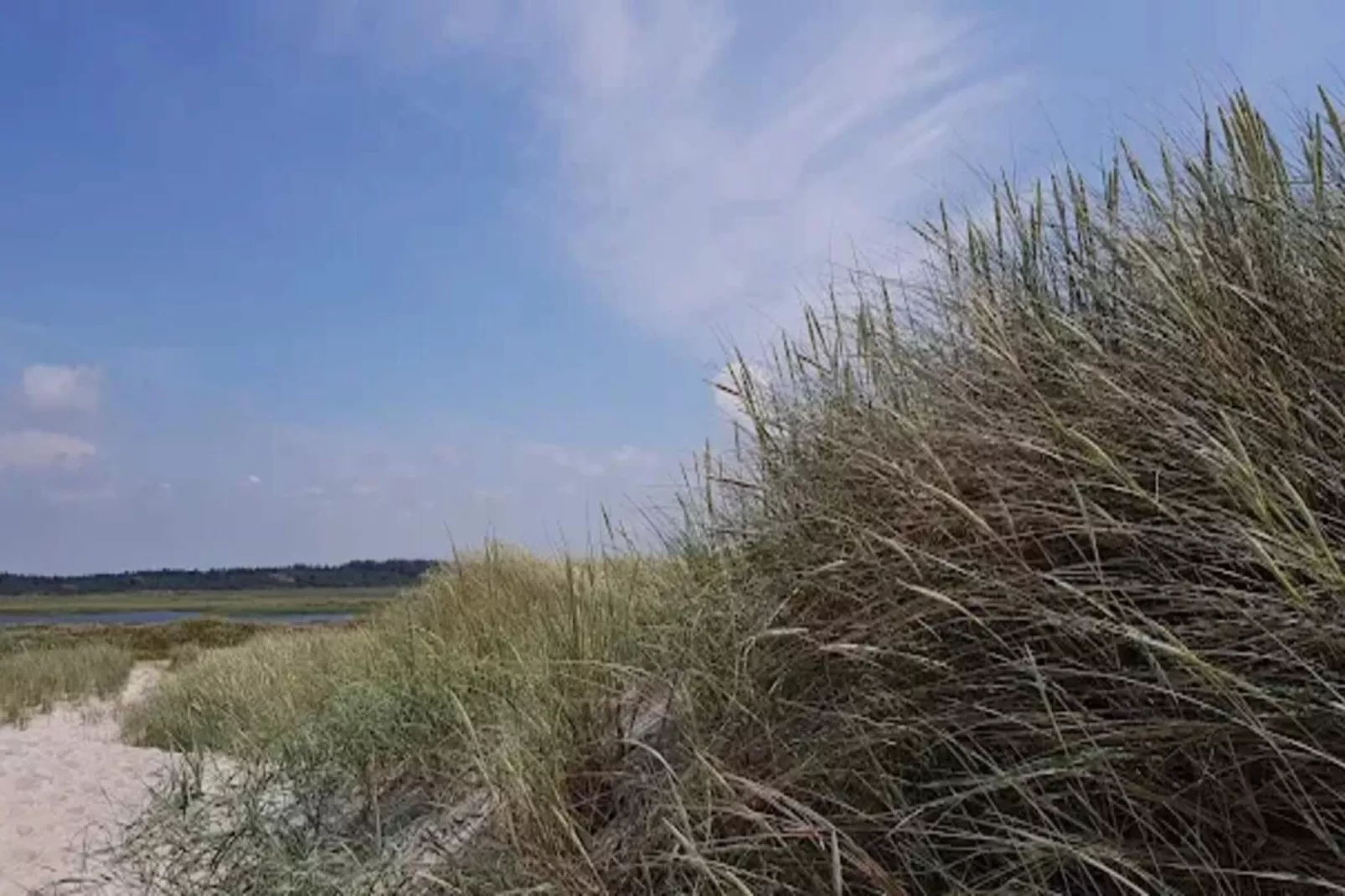 4 sterren vakantie huis in Nørre Nebel-Niet-getagd