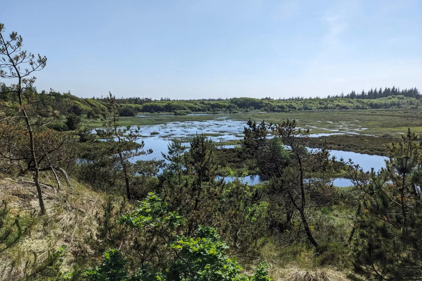 5 Personen vakantie huis in Snedsted-Waterzicht