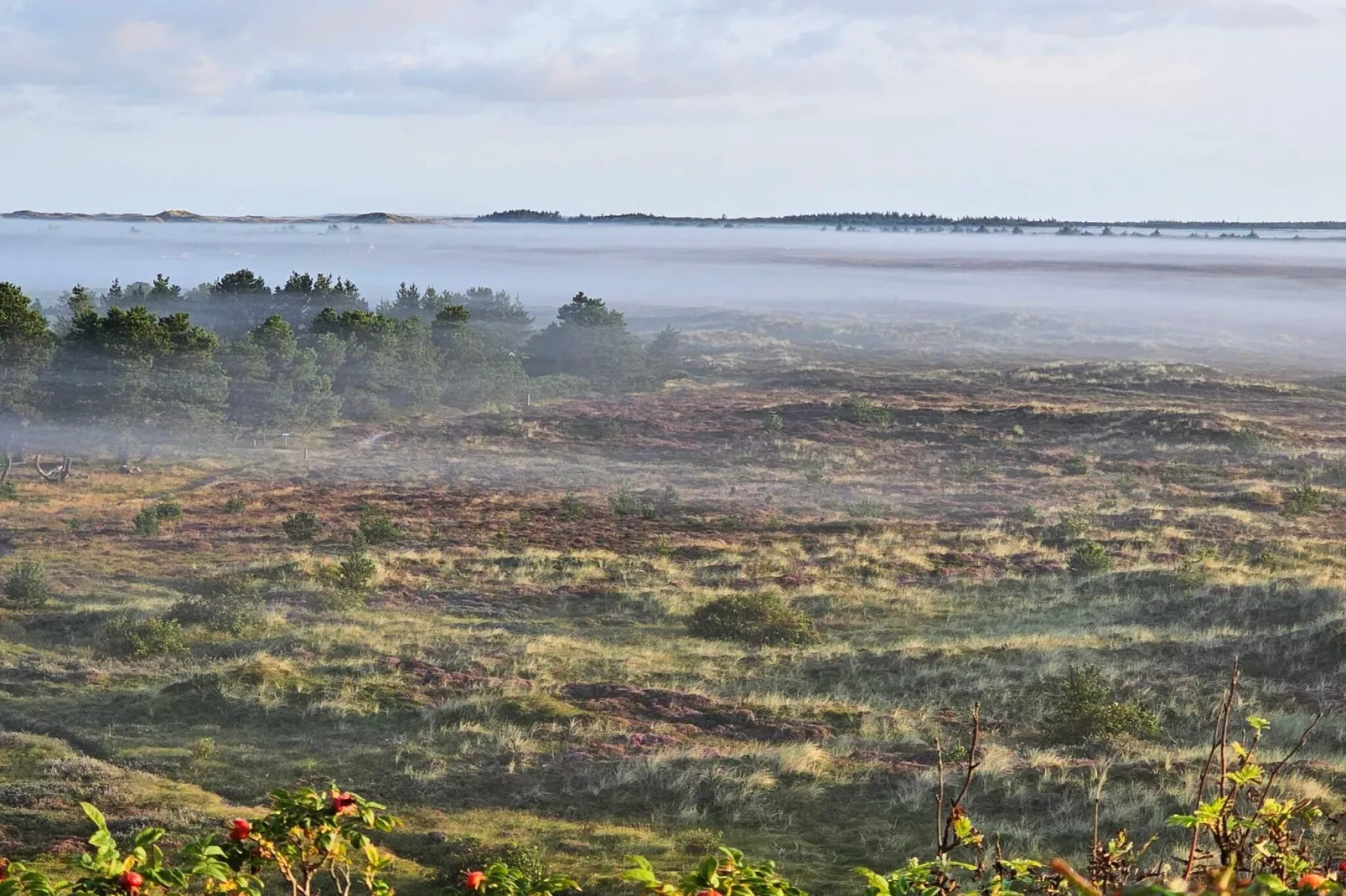 5-sterren vakantiehuis in Henne Beach-Niet-getagd