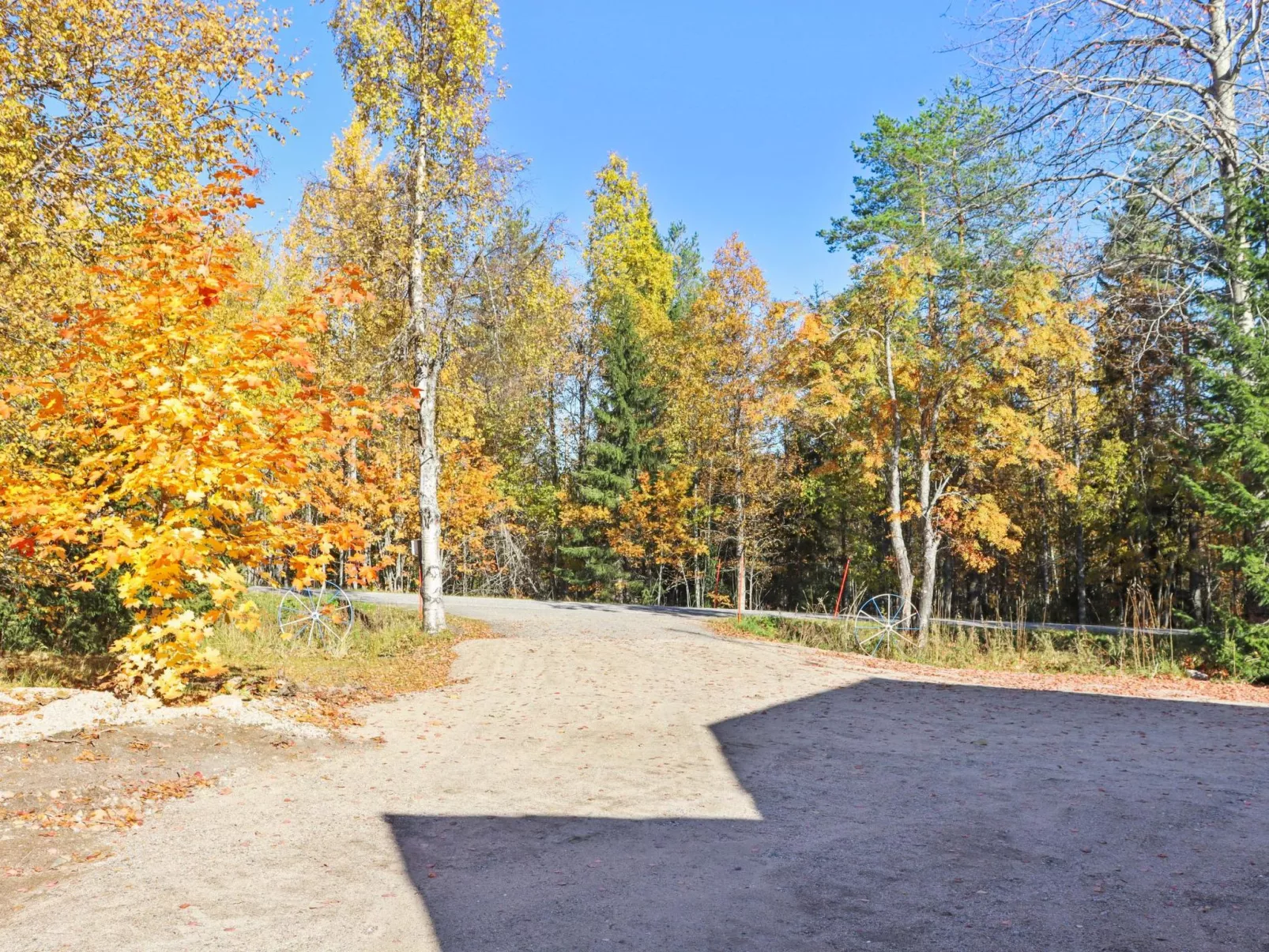 Laattajan hirsipirtti-Binnen