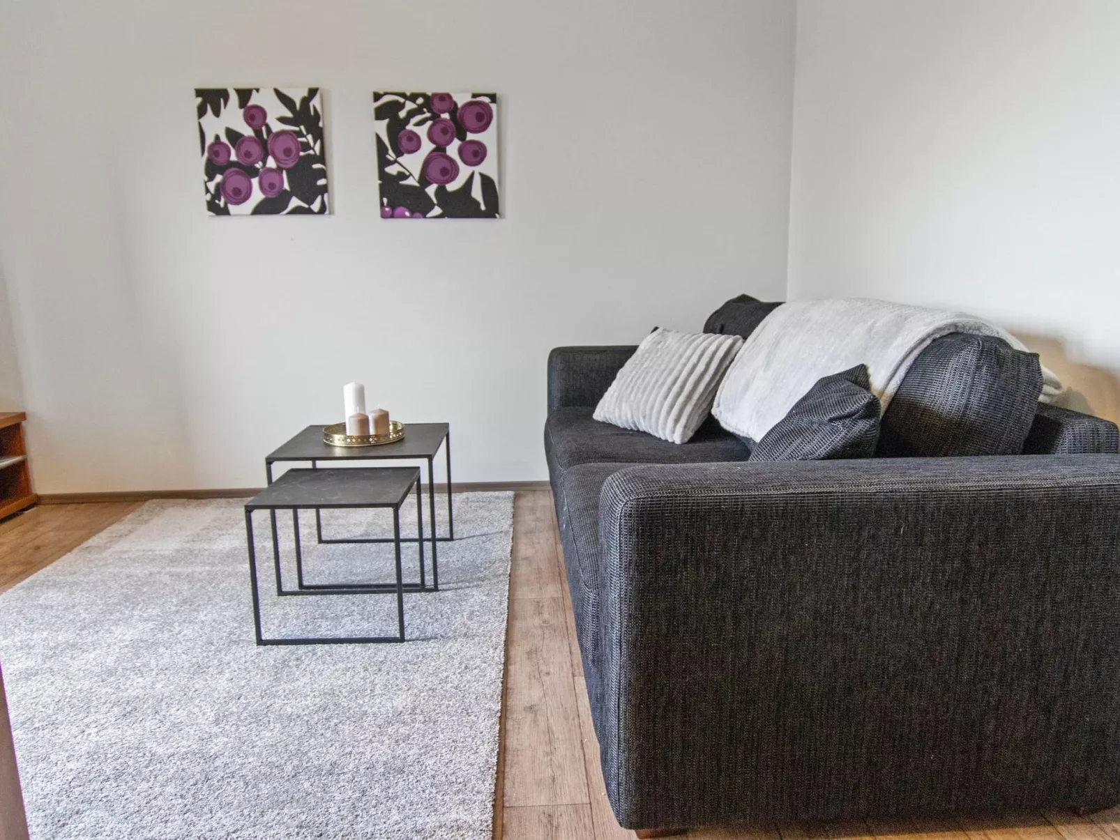 Skivillas 47 ukkohalla (a8)-Binnen