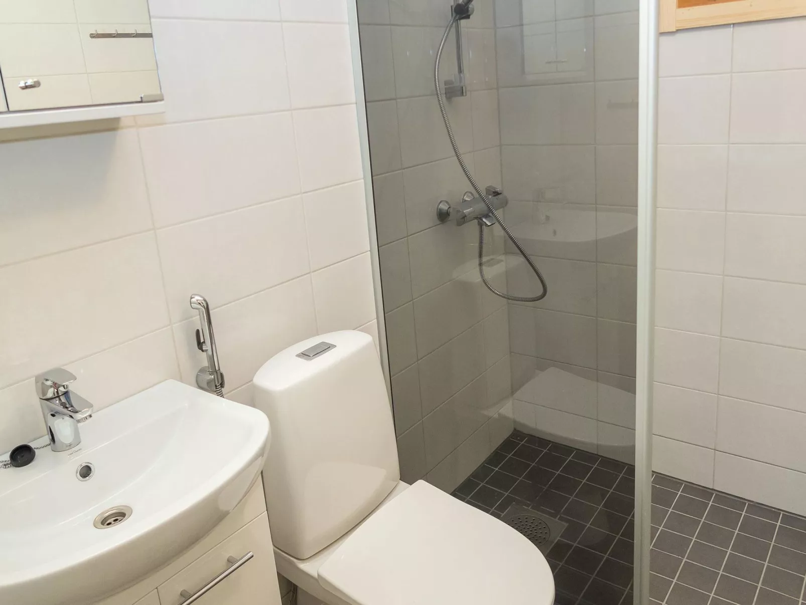 Viipusjärvi 11-Binnen