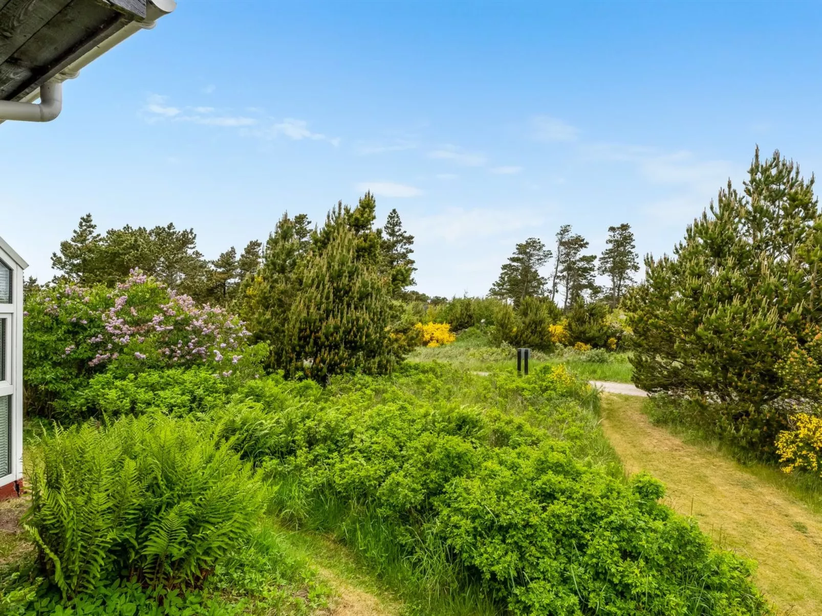 "Kaare" - 250m from the sea-Buiten