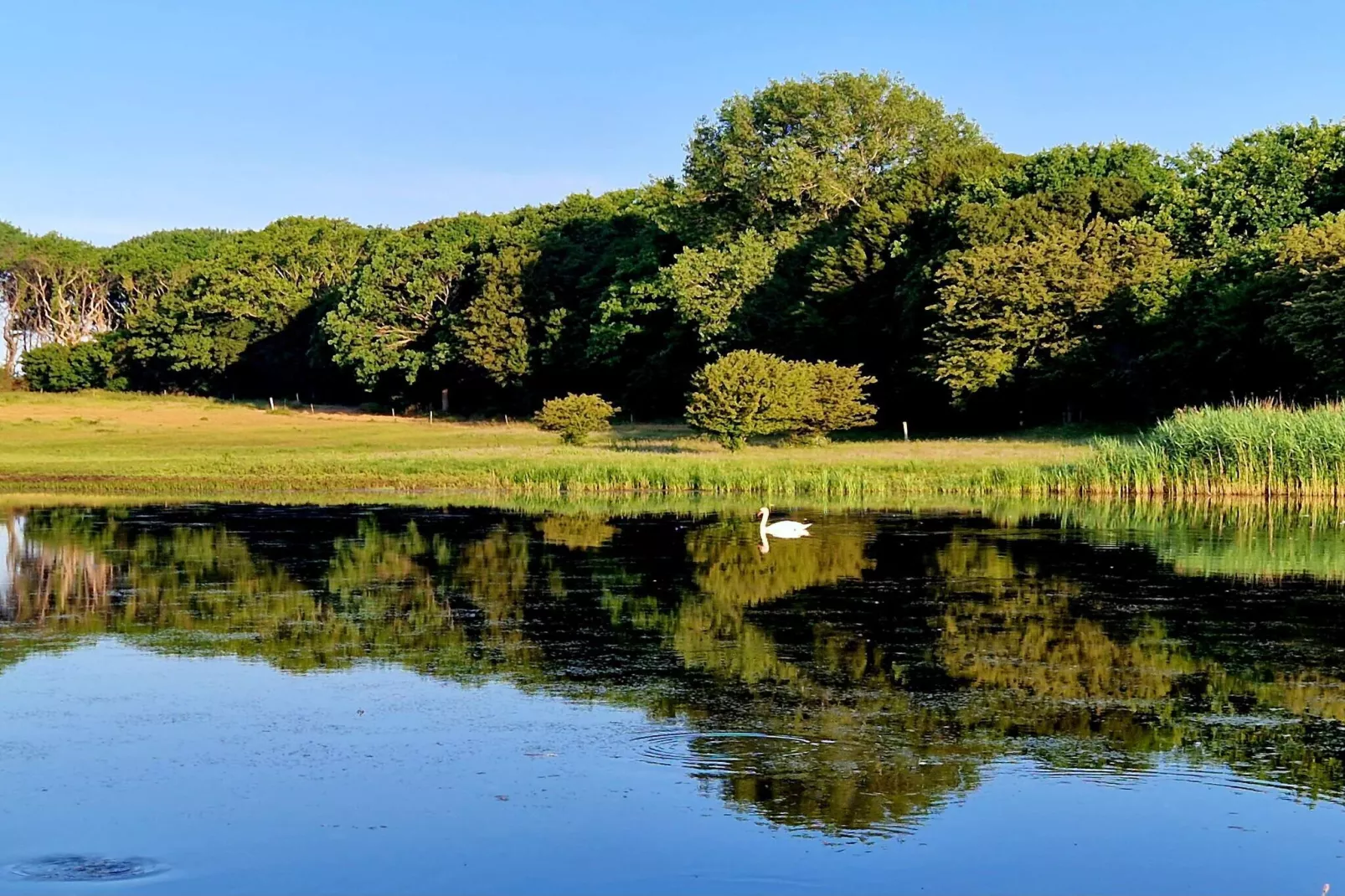 4 sterren vakantie huis in Bagenkop-Waterzicht