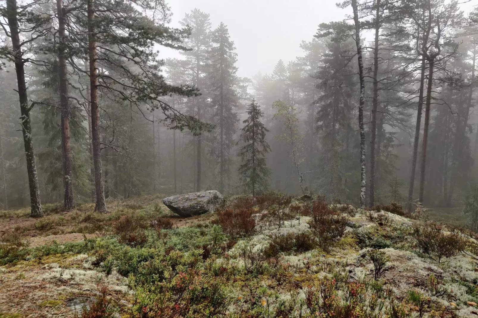 4 sterren vakantie huis in KIL-Niet-getagd