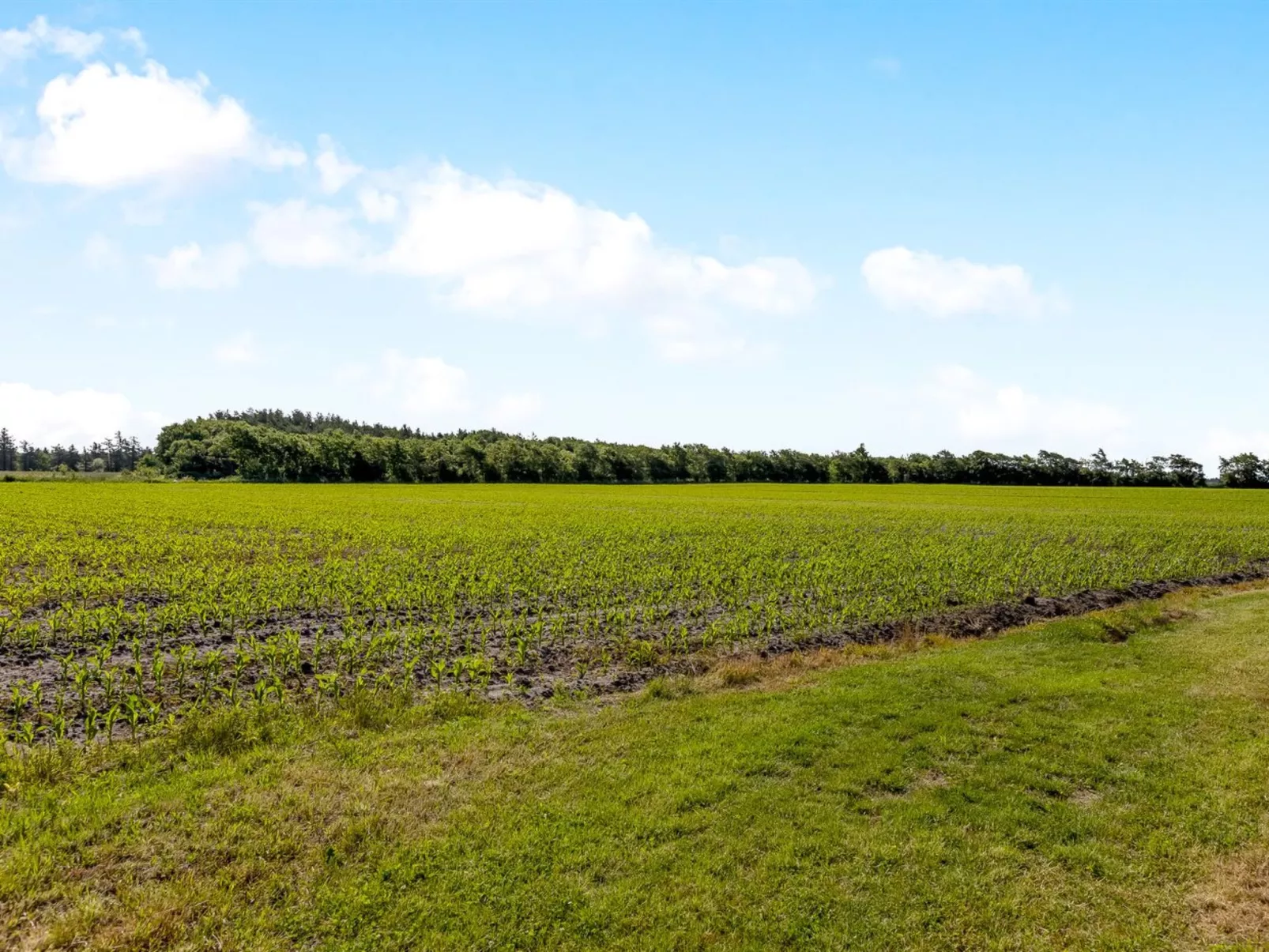 "Rahild" - 10km from the sea-Buiten