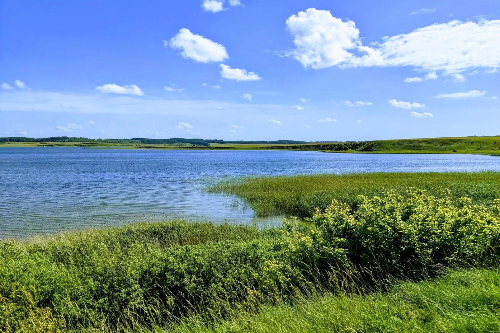 5 Personen vakantie huis in Snedsted-Waterzicht