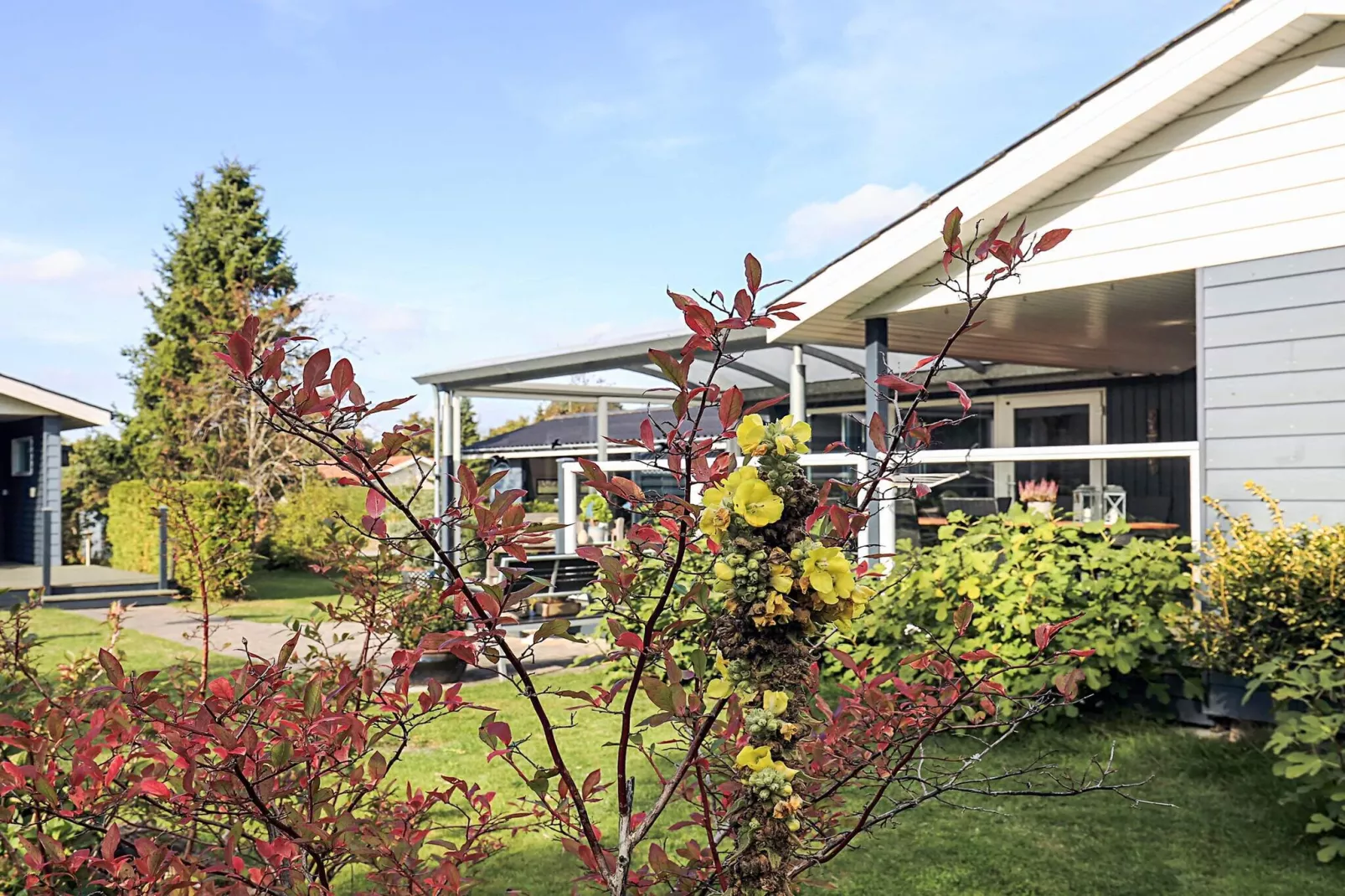 4 sterren vakantie huis in Hals-Niet-getagd