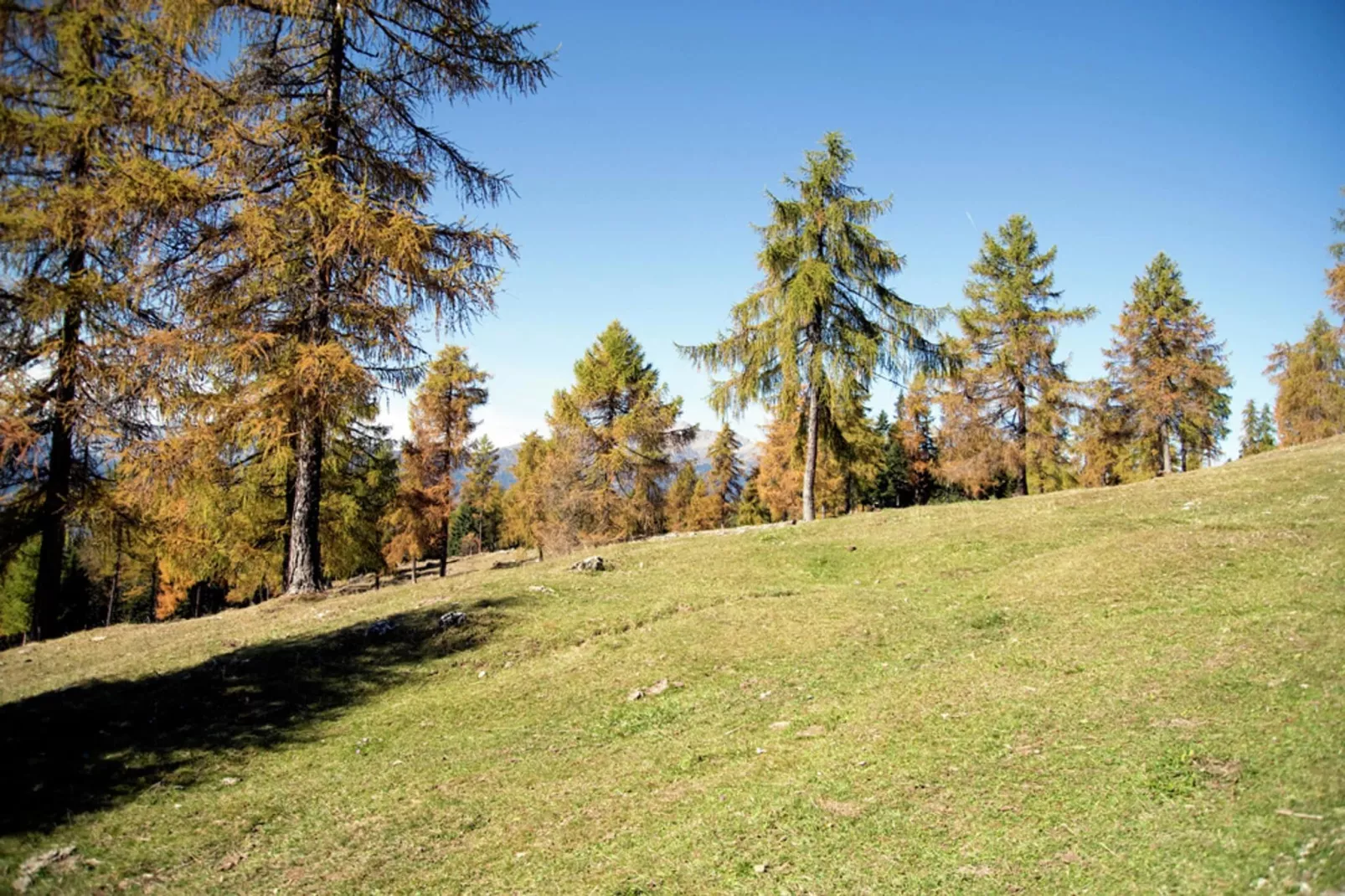 Renetta Mansarda-Gebieden zomer 5km