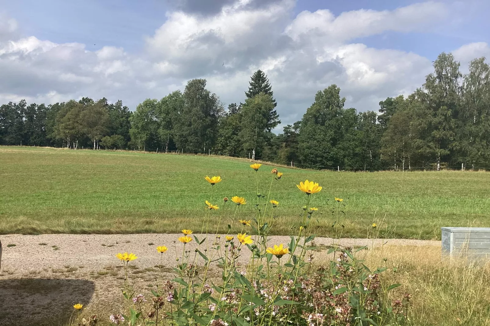 4 Personen vakantie huis in TORUP-Buitenlucht