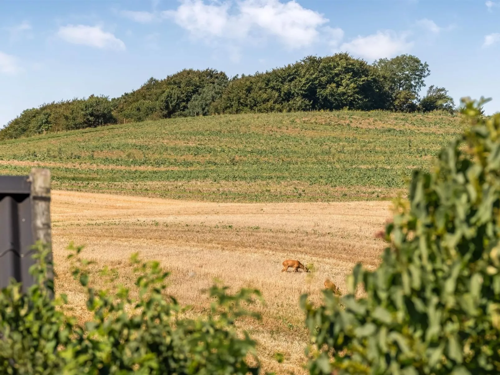 "Berner" - 500m to the fjord-Buiten