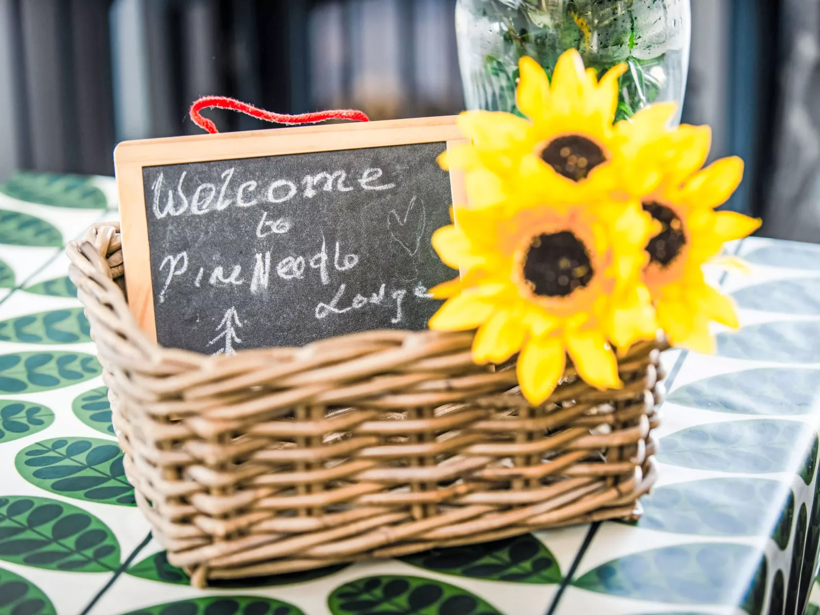 Pine Needle Lodge-Buiten