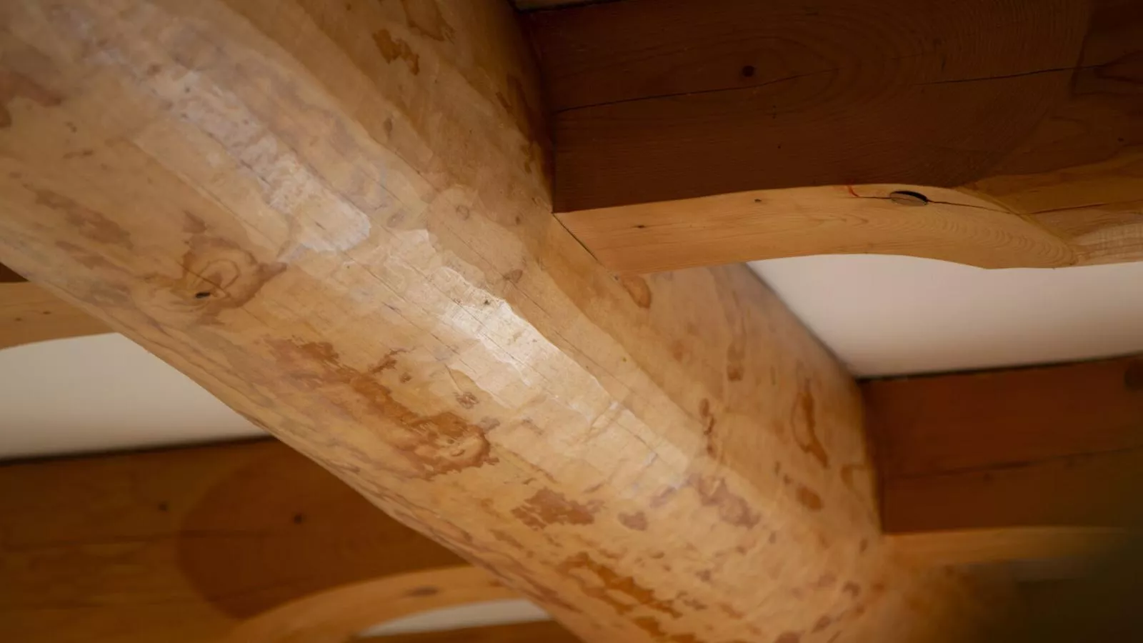 Naturstammhaus-Sfeer