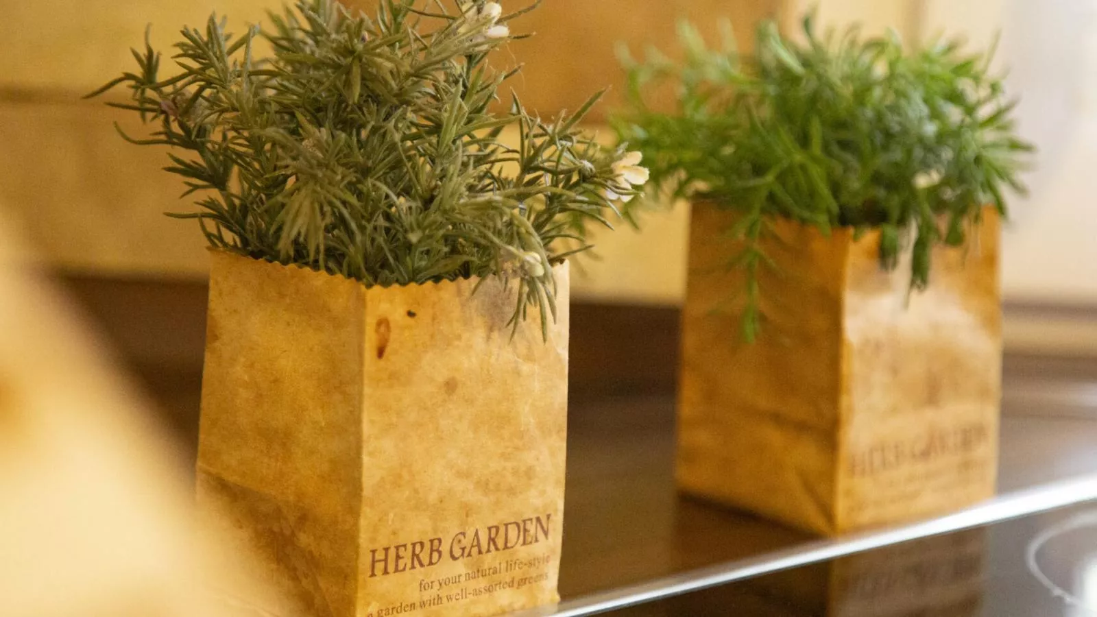 Das Haus am Wald-Keuken