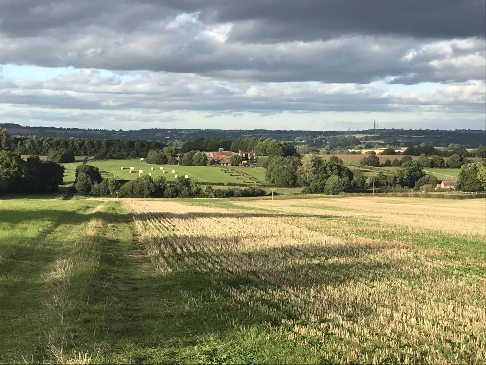 The Cornflower-Binnen