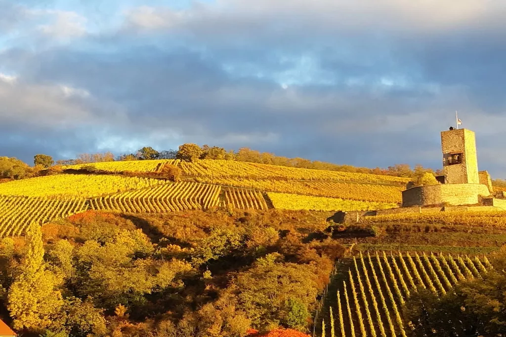 428685 - Niet-getagd