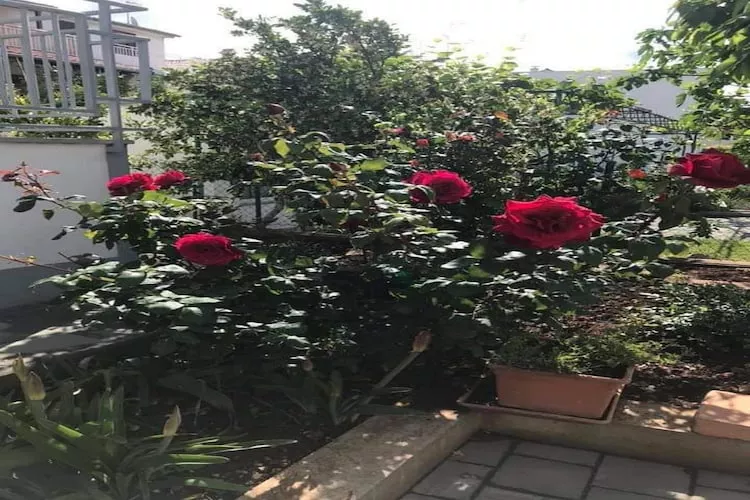 Apartments Villa Tanja - Two Bedroom Apartment with Terrace-Tuinen zomer