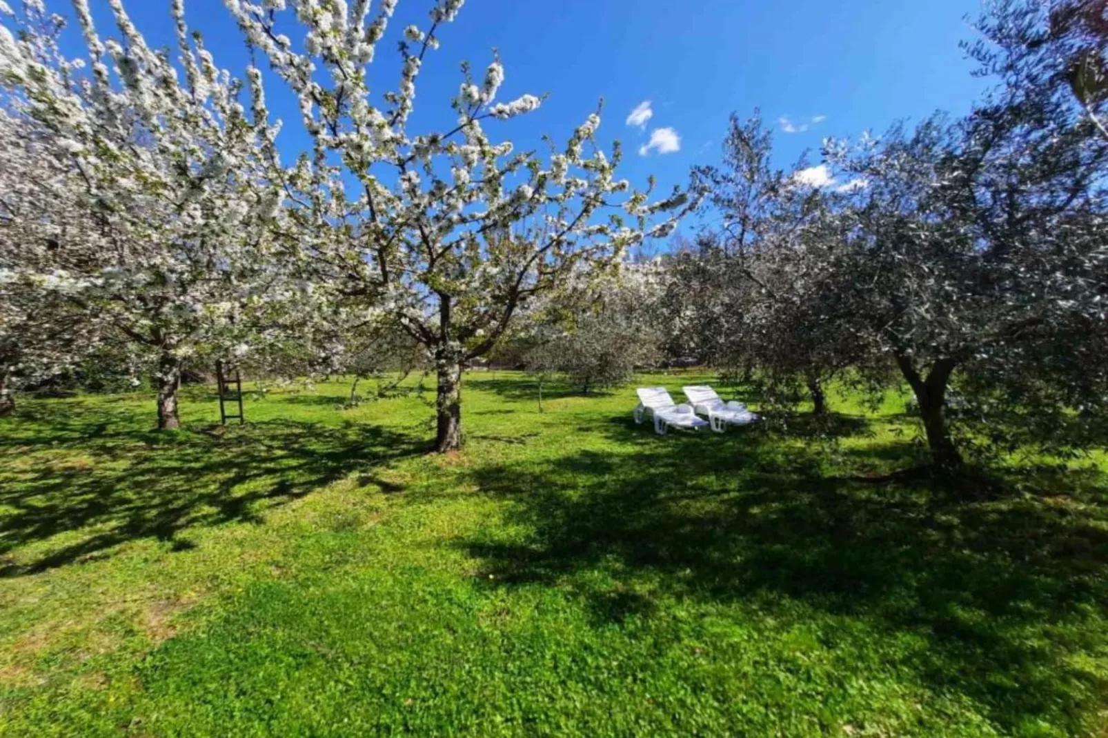 House in Nature-Buitenlucht