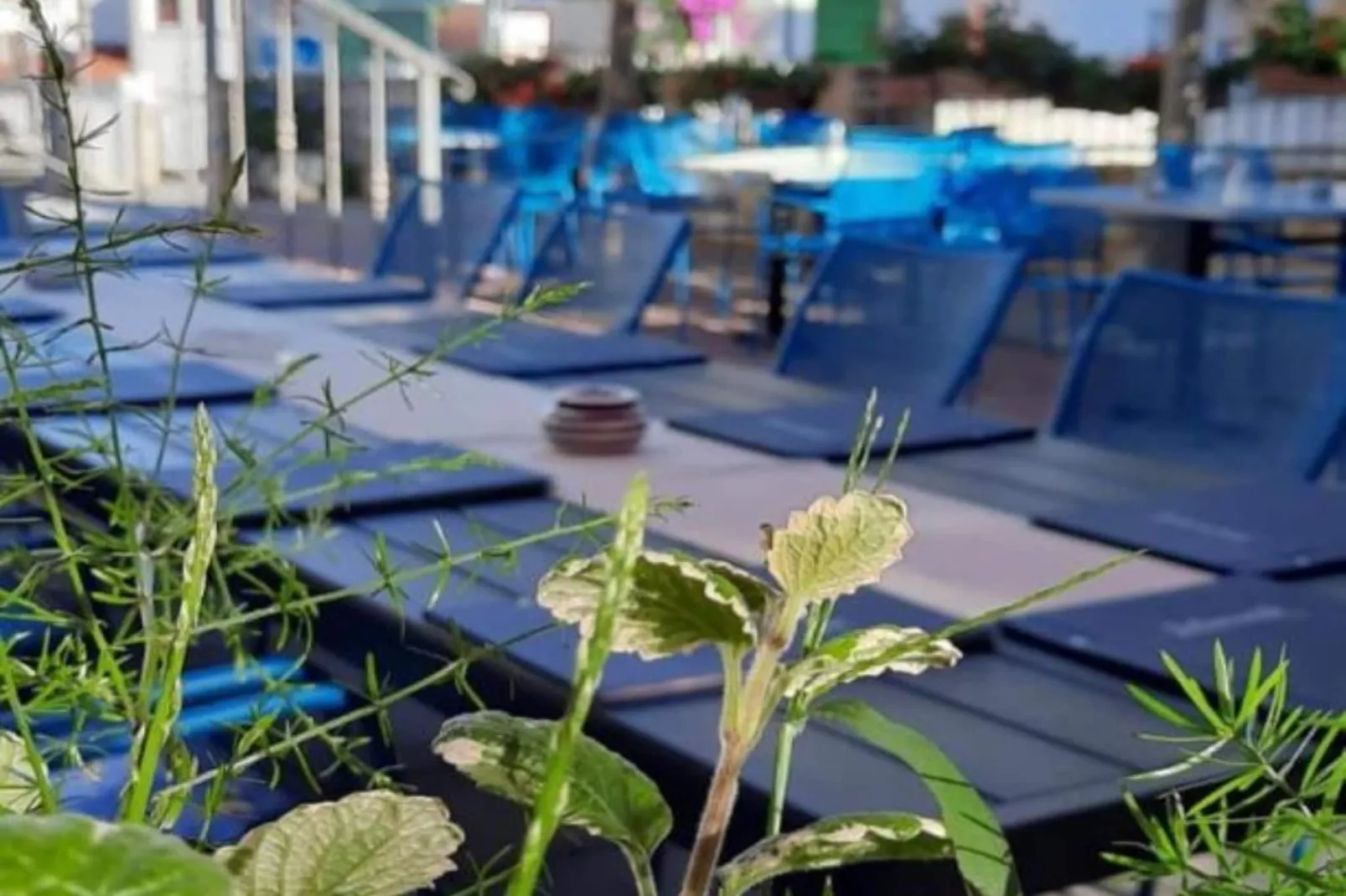 Peaceful Apartments With Style - Studio-Buitenlucht