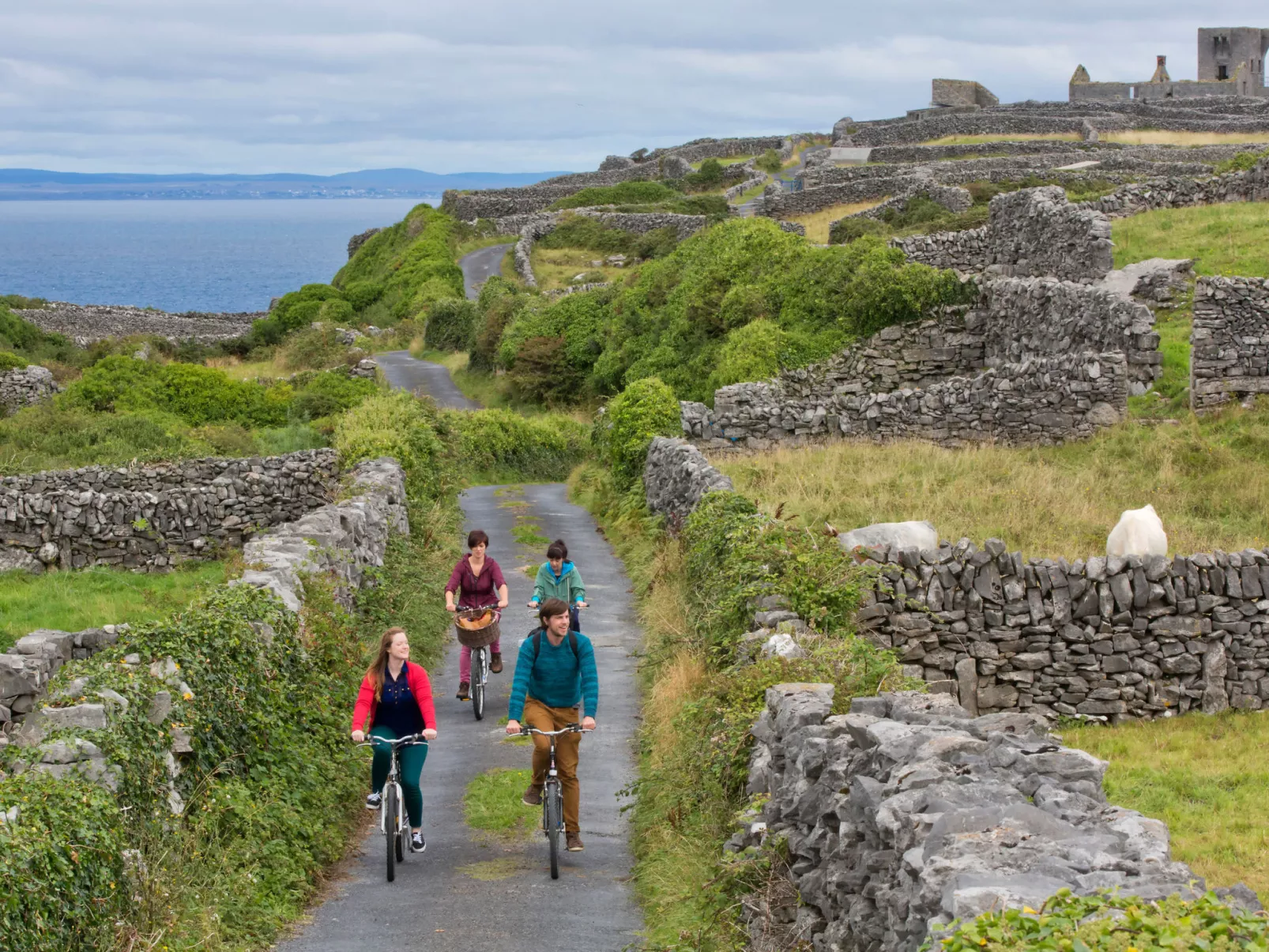 Galway Bay (TR4)Lodge-Binnen