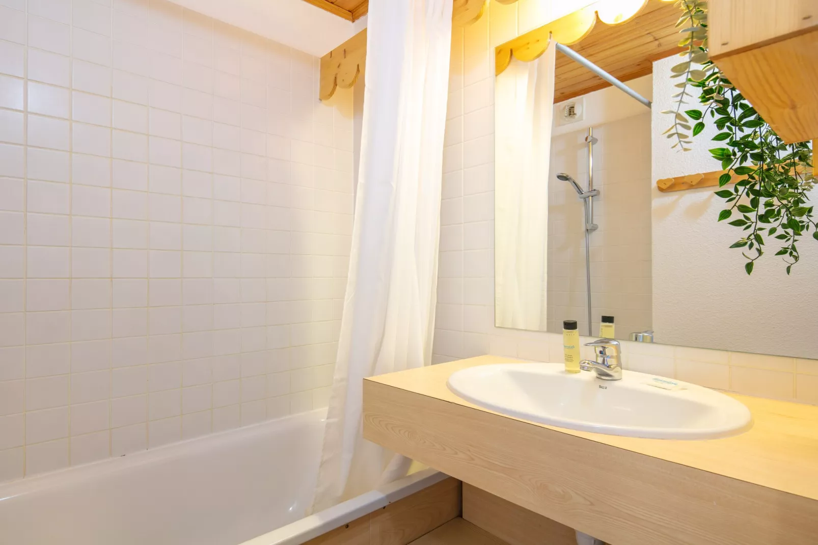 Vega N°501 - 2P5-Badkamer