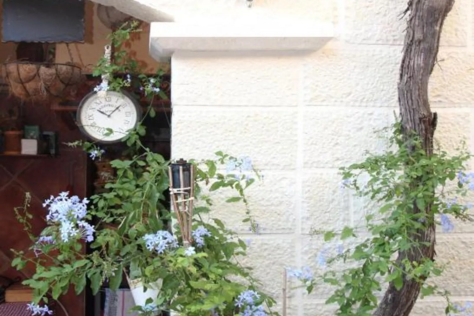Quaint & Affordable Stay in Budva Traditional Stone House  - Standard Double Room 3-Tuinen zomer