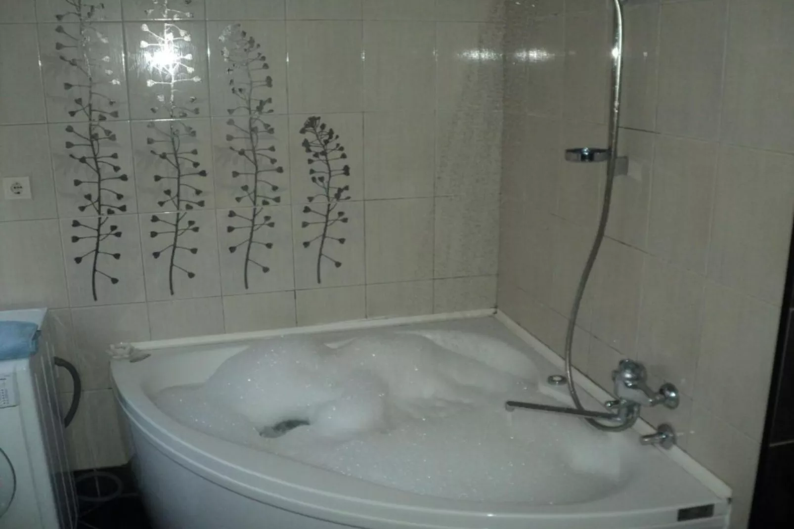 Stunning Beachfront Stay in Herceg Novi - Deluxe One Bedroom Apartment C-Badkamer