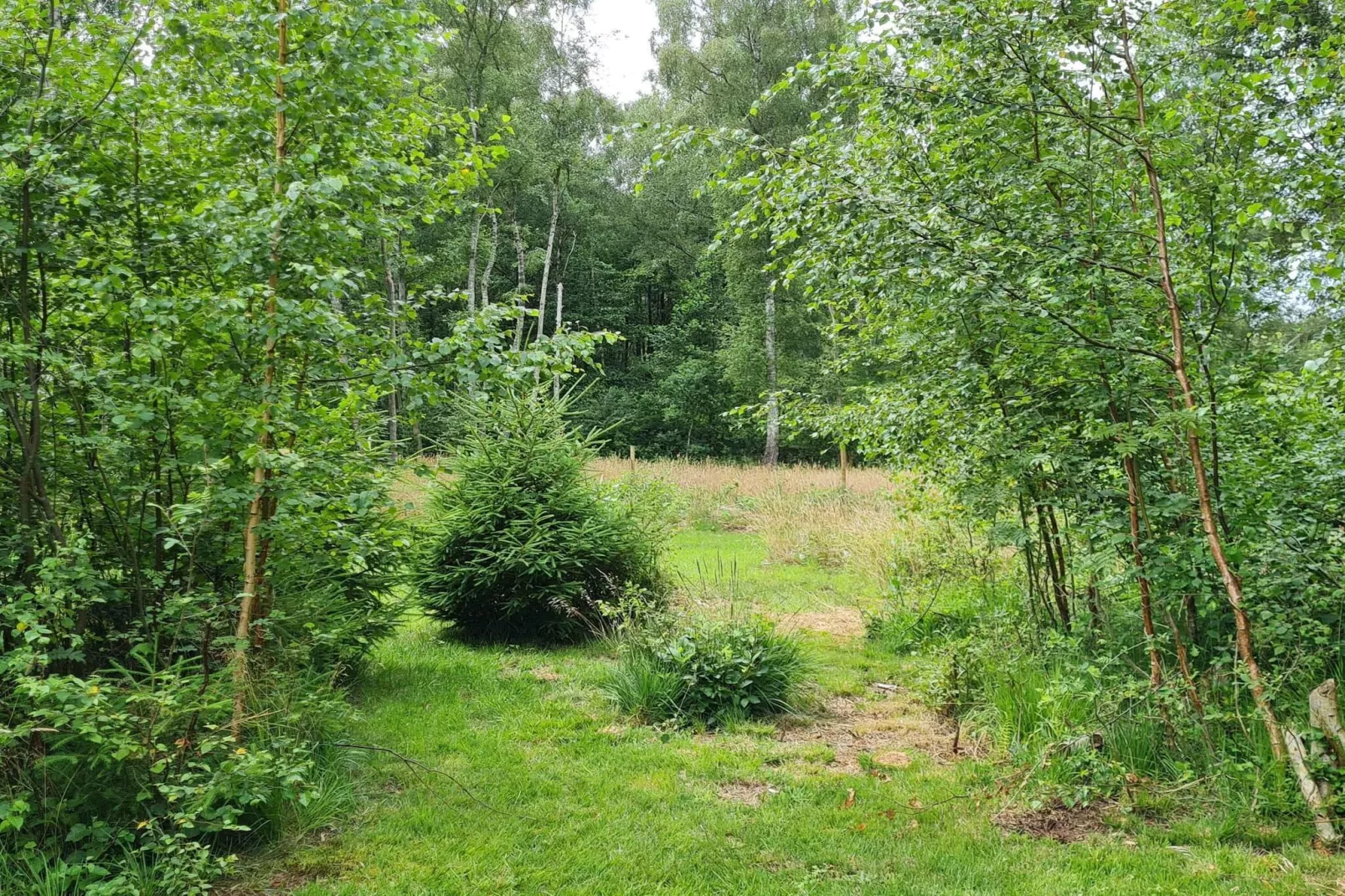 5 sterren vakantie huis in Frederiksværk-Niet-getagd