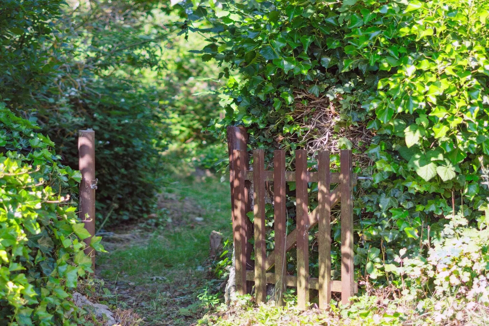 5 sterren vakantie huis in Svaneke-Buitenlucht