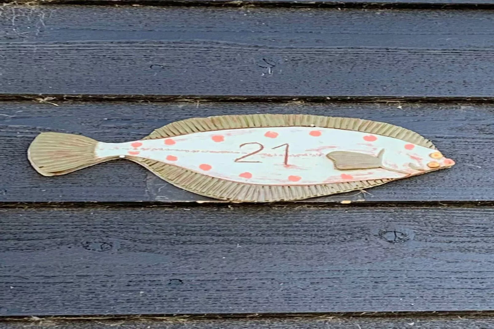 5 sterren vakantie huis in Otterup-Buitenlucht