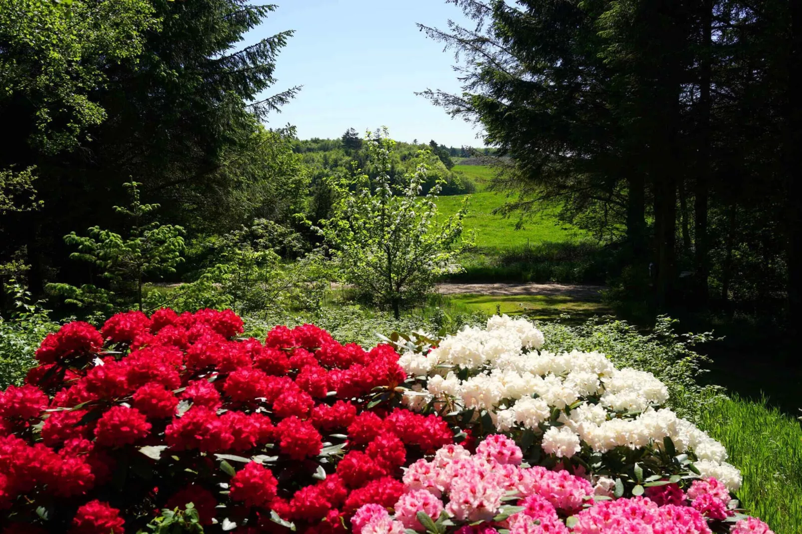 5 sterren vakantie huis in Fur-Buitenlucht