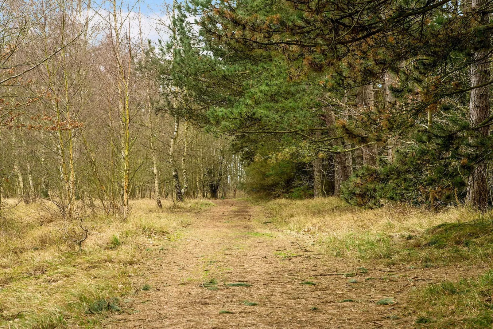5 sterren vakantie huis in Store Fuglede-Buitenlucht