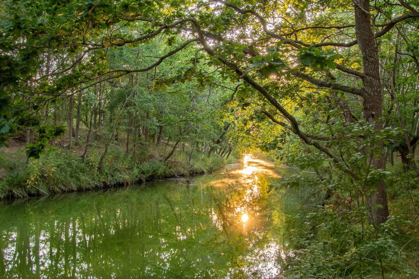 5 sterren vakantie huis in Store Fuglede