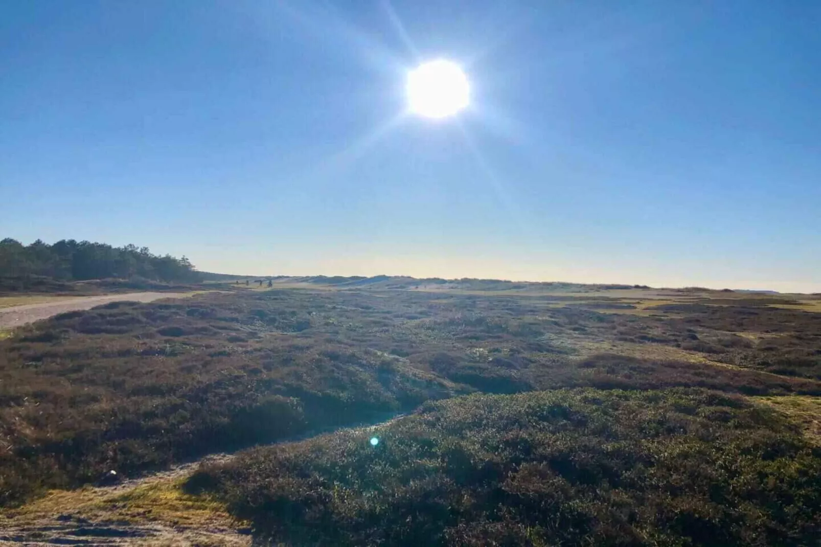 5 sterren vakantie huis in Nykøbing Sj-Buitenlucht