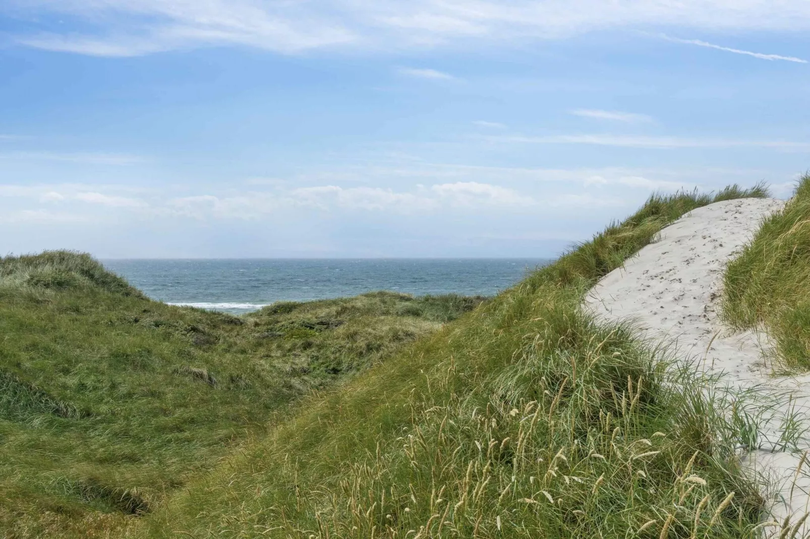 4 sterren vakantie huis in Pandrup-Buitenlucht