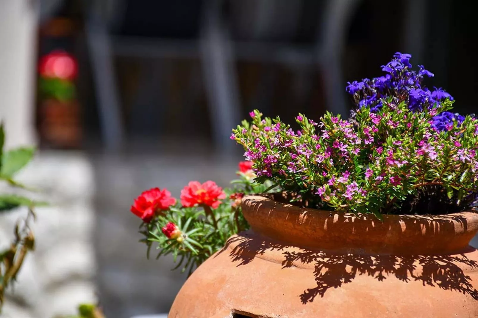 Apartments Jaklin -  Studio Apartment with Balcony and Sea View C-Tuinen zomer