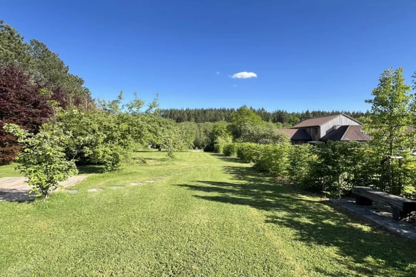 Pine Tree Tiny Cottage-Tuinen zomer