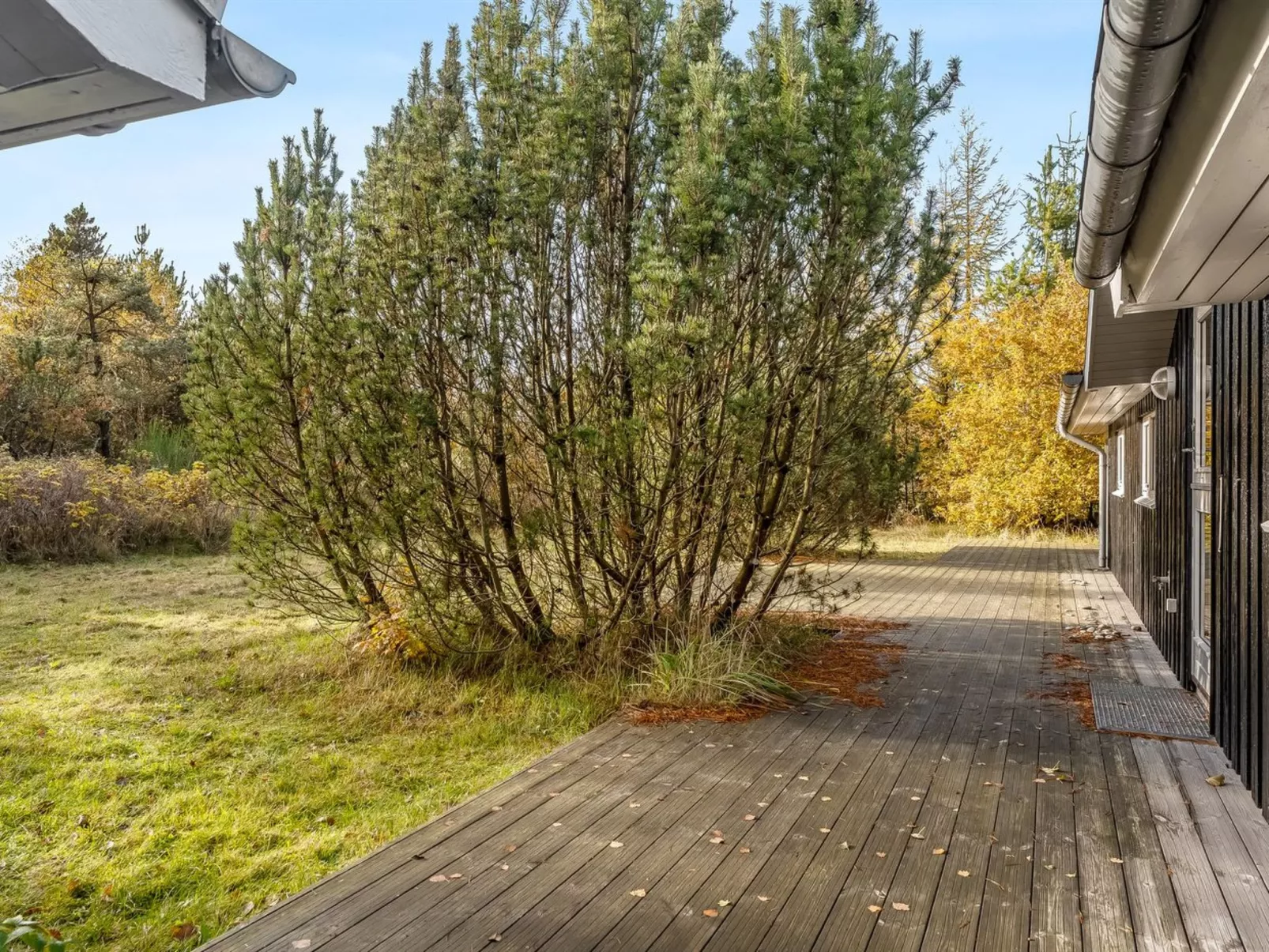 "Peder" - 4km from the sea-Buiten