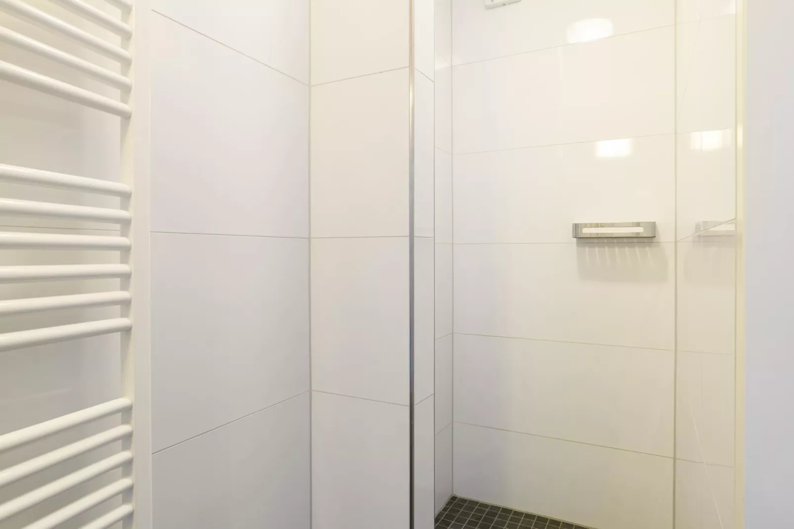 Havenresort Terherne 2-Badkamer