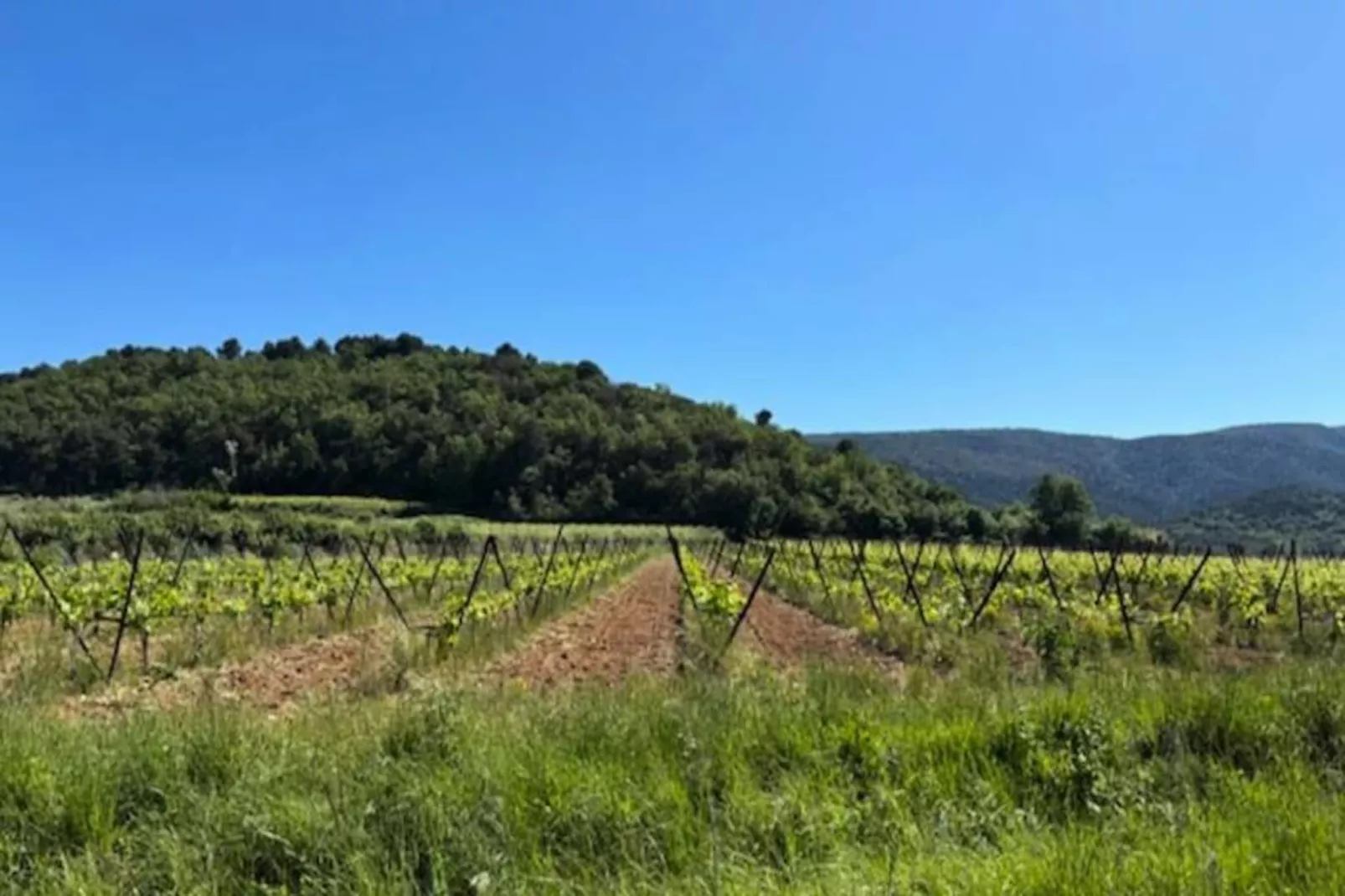 La Lacoste : Charme Et Vue Sur Le Luberon-Niet-getagd