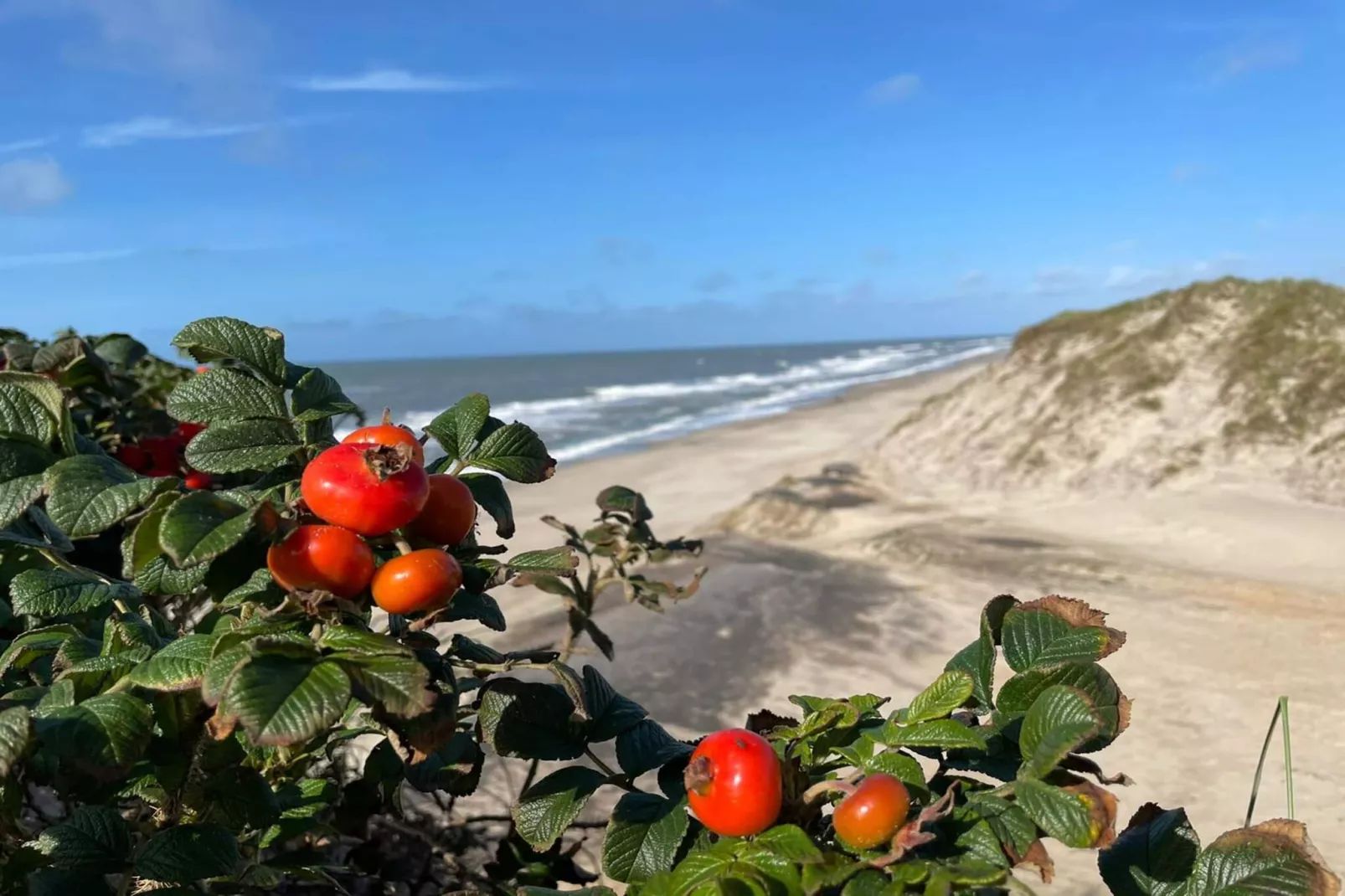 8 persoons vakantie huis in Ringkøbing-Waterzicht
