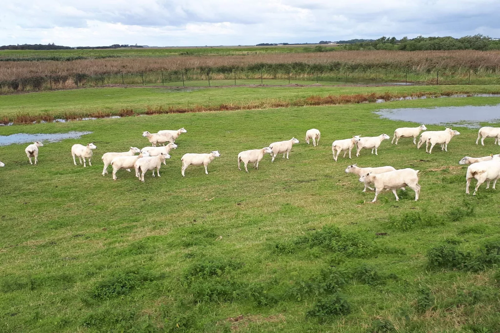 10 persoons vakantie huis in Højer-Waterzicht