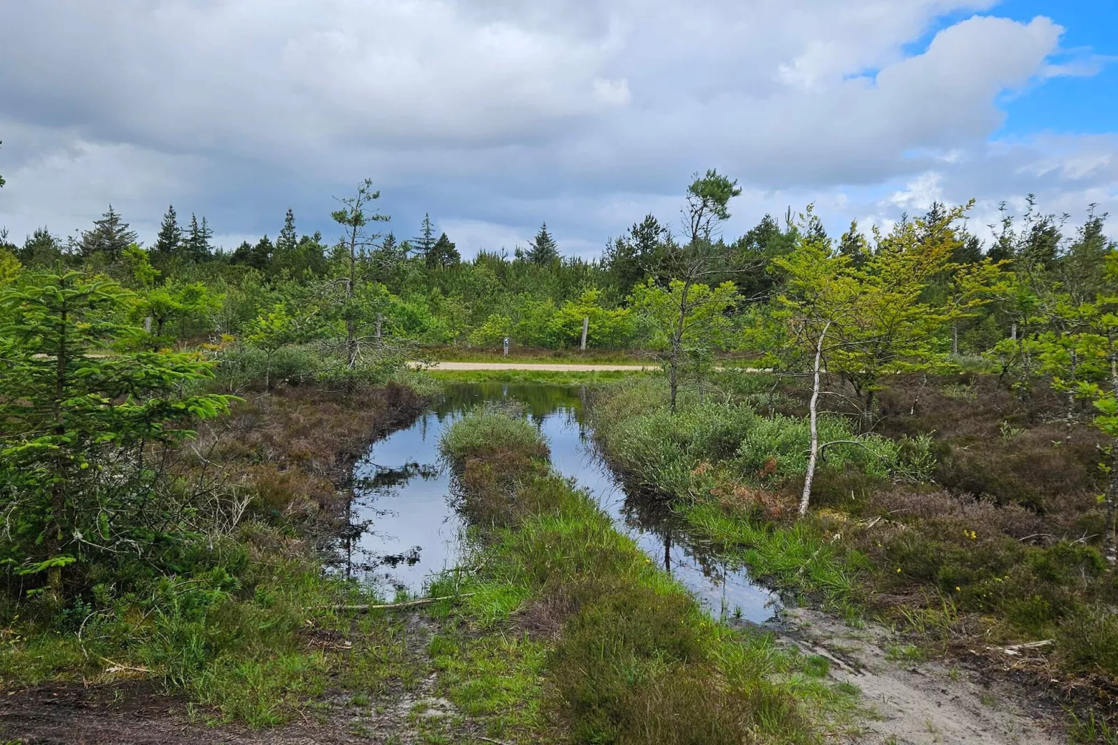 4 persoons vakantie huis in Nørre Nebel-Waterzicht