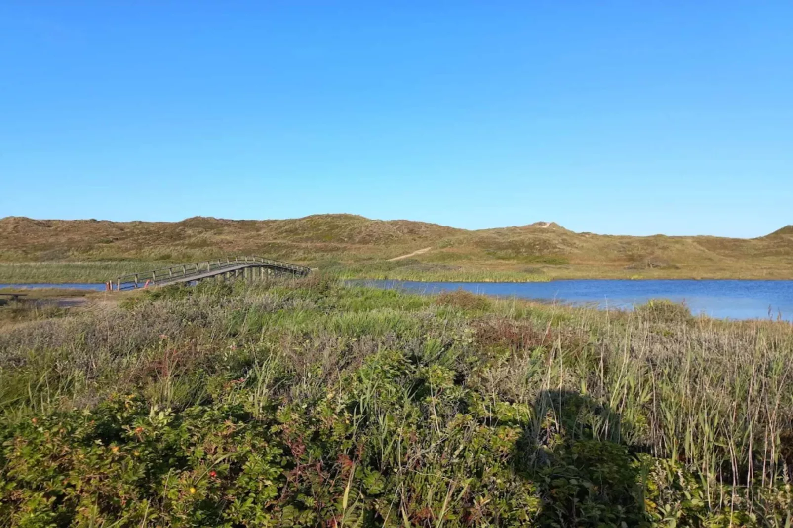 8 persoons vakantie huis in Nørre Nebel-Waterzicht