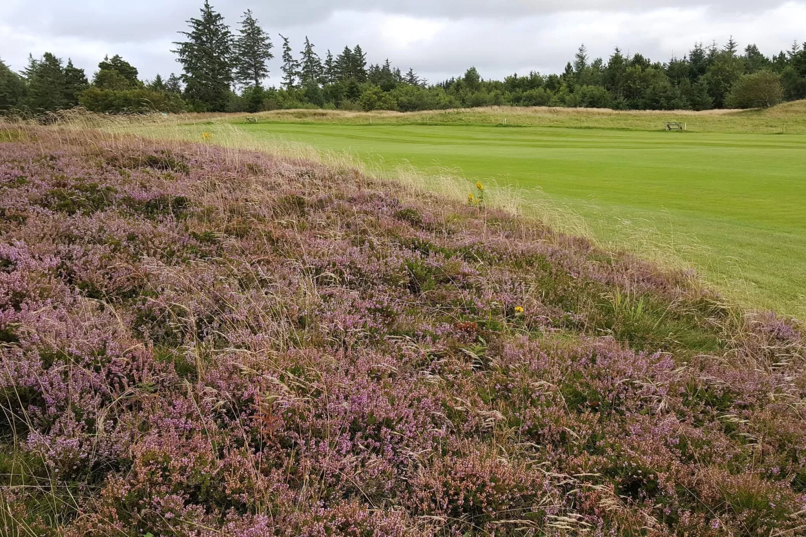 6 persoons vakantie huis in Fjerritslev-Niet-getagd