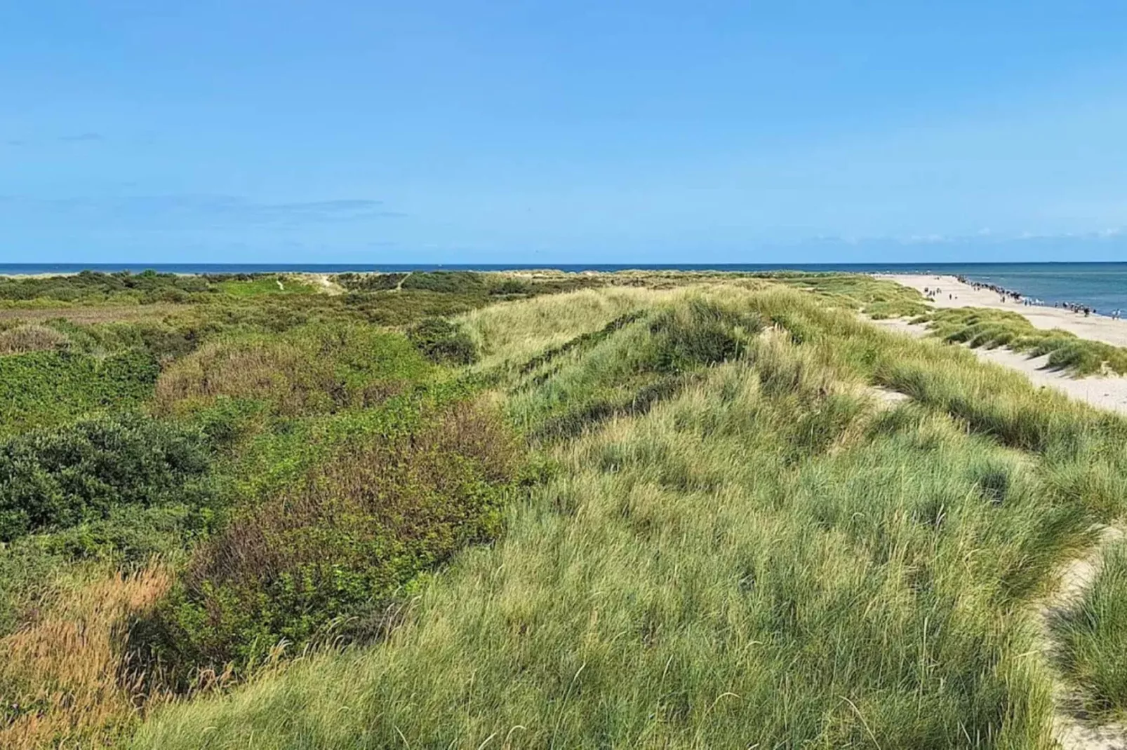 6 persoons vakantie huis in Skagen-Waterzicht