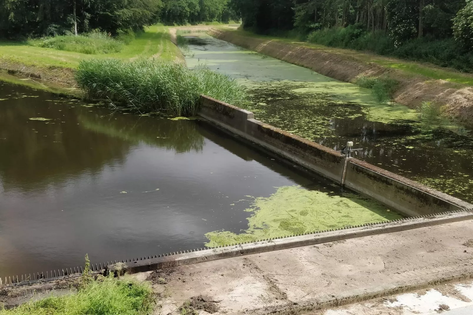 12 persoons vakantie huis in Væggerløse-Niet-getagd