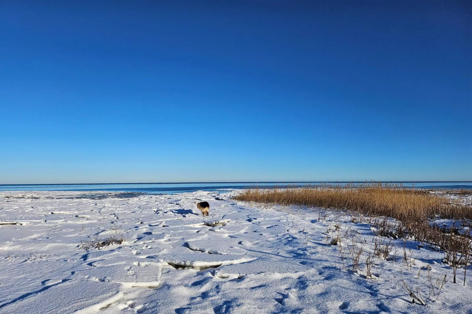 10 persoons vakantie huis in Ørsted-Niet-getagd
