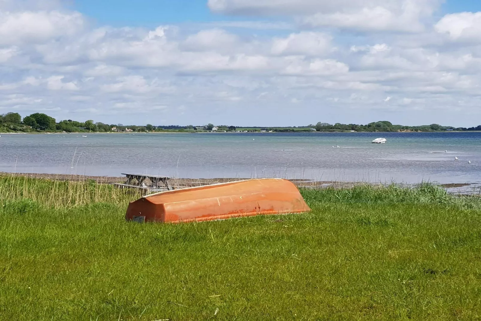 6 persoons vakantie huis in Bjert-Waterzicht